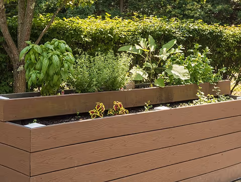 A raised wooden garden bed filled with various green plants and herbs, situated outdoors with trees and bushes in the background.