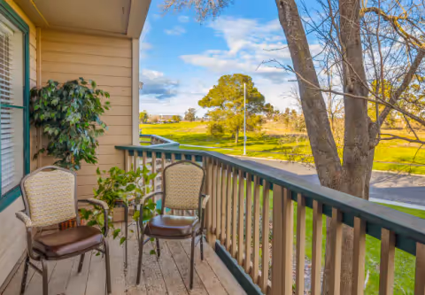 Balcony with two chairs and potted plants overlooking a green lawn and trees under a blue sky.