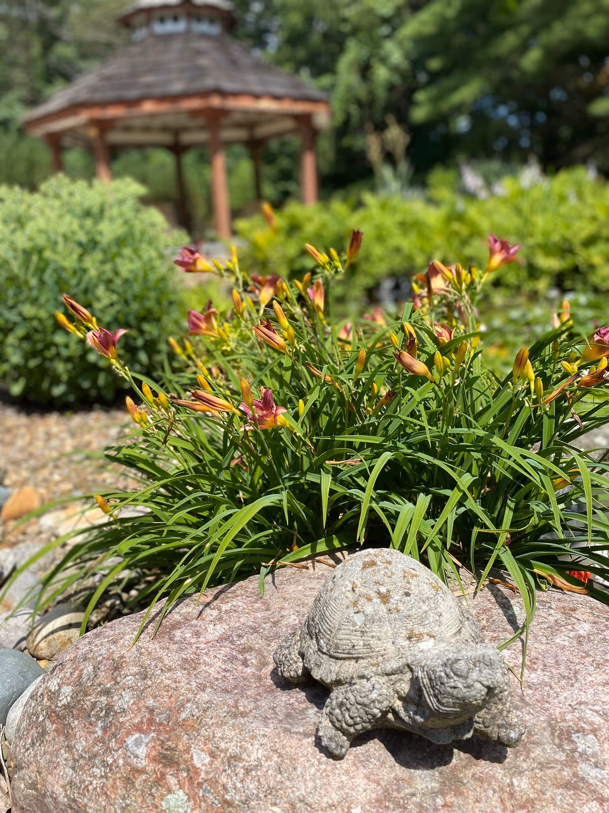 A garden scene featuring a stone turtle sculpture resting on a large rock in the foreground, with blooming purple and yellow flowers and green foliage behind it. In the background, there is a wooden gazebo surrounded by more greenery under a sunny sky.