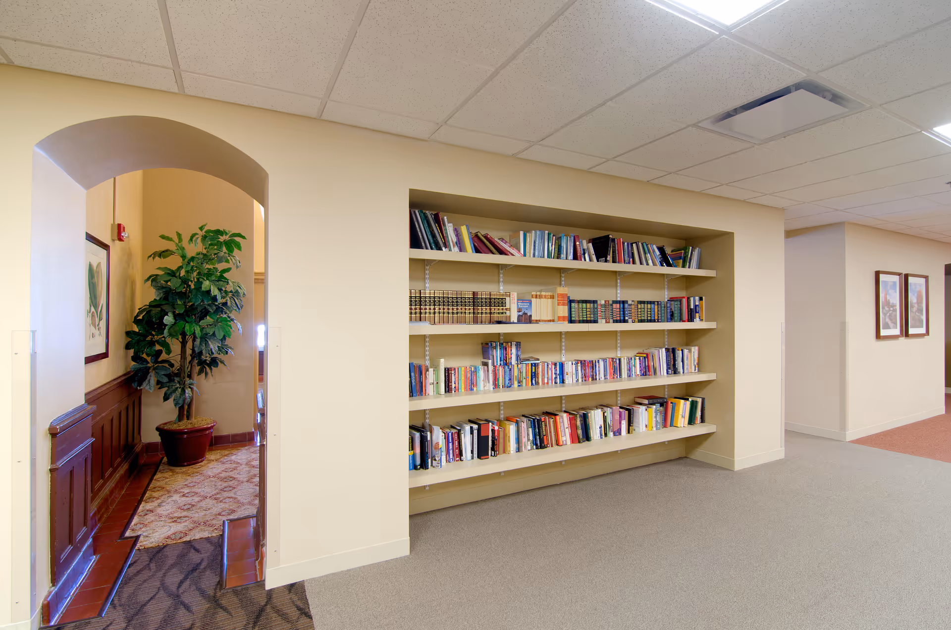 Interior hallway of a senior living facility with a built-in bookshelf filled with books on the right wall. To the left, there is an arched doorway leading to another room with a large potted plant and framed artwork on the wall. The floor is carpeted and the ceiling has recessed lighting.