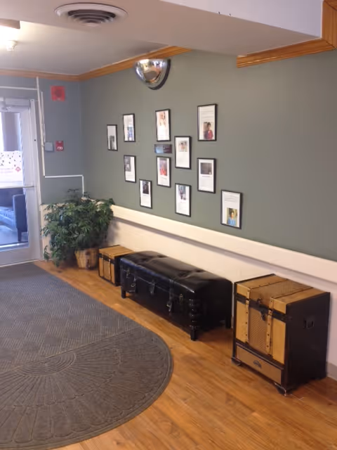 Interior hallway area with a green wall decorated with framed pictures and documents. Below the pictures are three storage trunks, one black and two brown, placed on a wooden floor next to a round gray rug. A potted plant is positioned near a glass door on the left side.