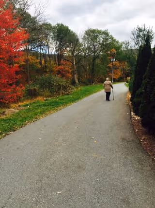 An elderly person walking with a cane on a paved path surrounded by trees with autumn foliage, including vibrant red and green leaves, under a cloudy sky.