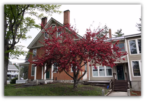A large brick and siding building with multiple chimneys and green doors, partially obscured by a tree with vibrant pink blossoms in the foreground. The building is surrounded by grass and other trees under an overcast sky.
