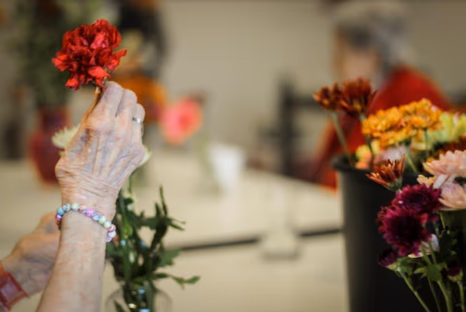 Close-up of an elderly person's hands arranging a red flower in a vase, with other colorful flowers and a blurred background showing another person and a table.