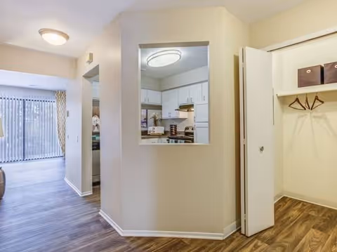 Open interior apartment with kitchen pass-through, hallway, and a closet on wood flooring.