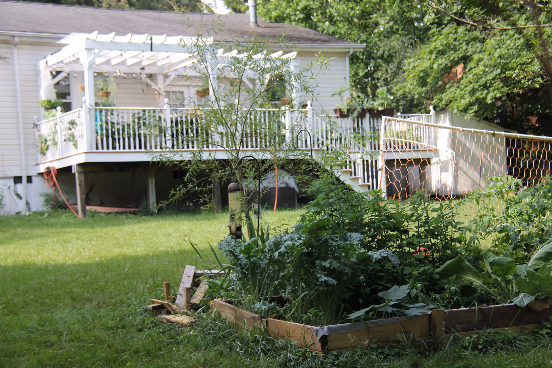 Backyard with a raised garden bed in the foreground and a white deck with a pergola attached to a house in the background.