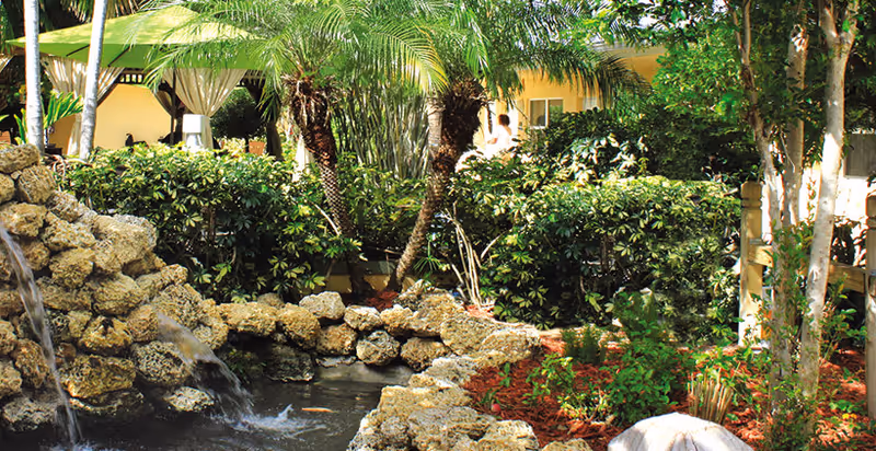A lush outdoor garden area with a small rock waterfall flowing into a pond, surrounded by green bushes, palm trees, and other plants. In the background, part of a yellow building and a white canopy structure are visible.