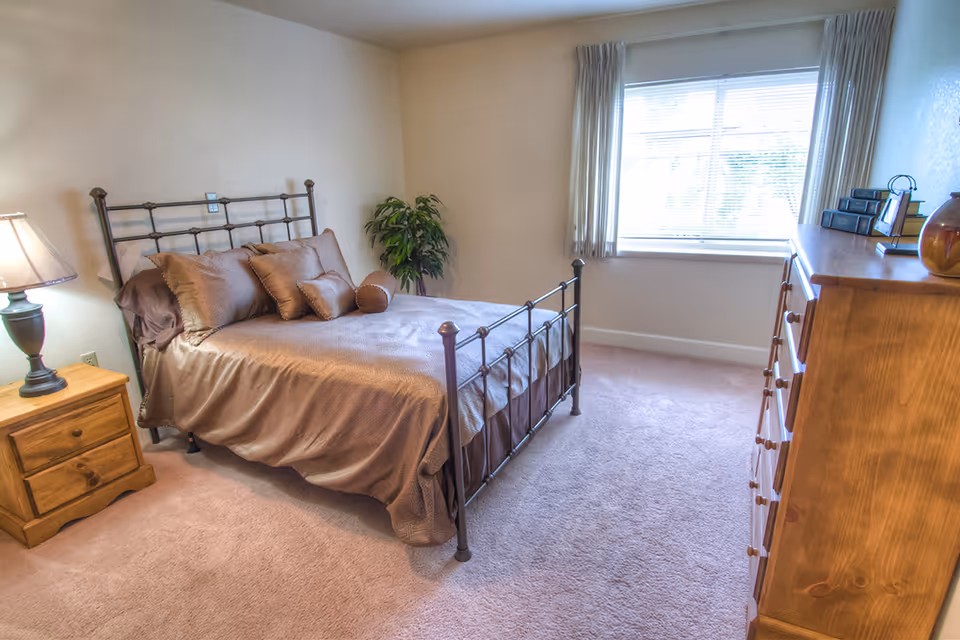 A bright bedroom with a metal frame bed made with brown bedding and multiple pillows. There is a wooden nightstand with a lamp on the left side of the bed, a wooden dresser on the right side of the room, a potted plant in the corner, and a large window with curtains letting in natural light.