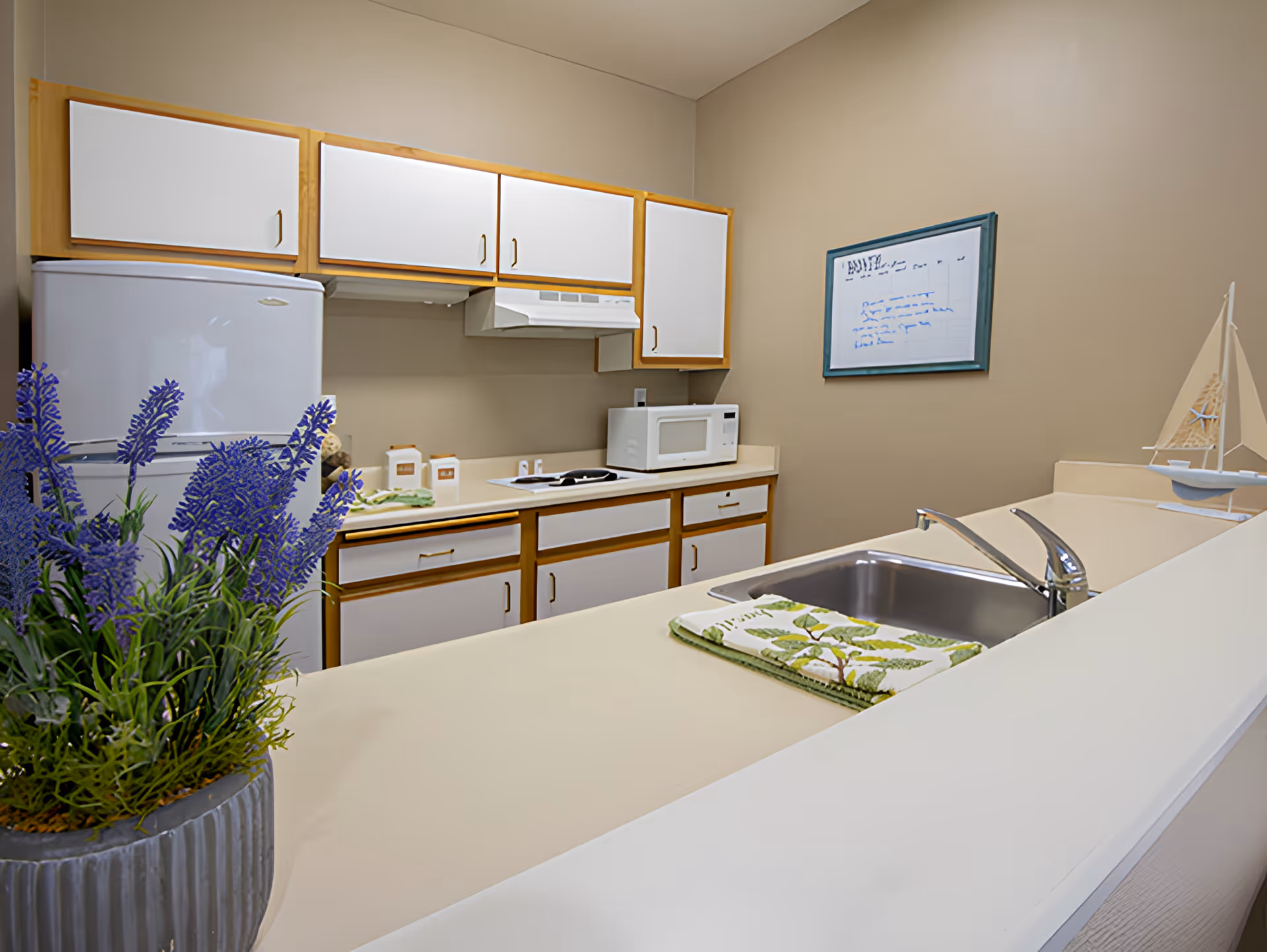 Small kitchenette with a sink and countertop facing a refrigerator, microwave, cabinets, and a potted lavender plant.