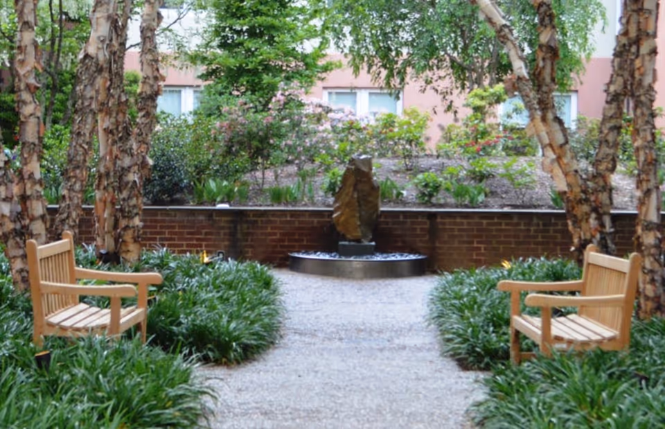 Outdoor garden area with a gravel pathway flanked by green plants and two wooden benches facing each other. There are several birch trees and a stone water fountain at the end of the path, with a brick wall and flowering shrubs behind it.