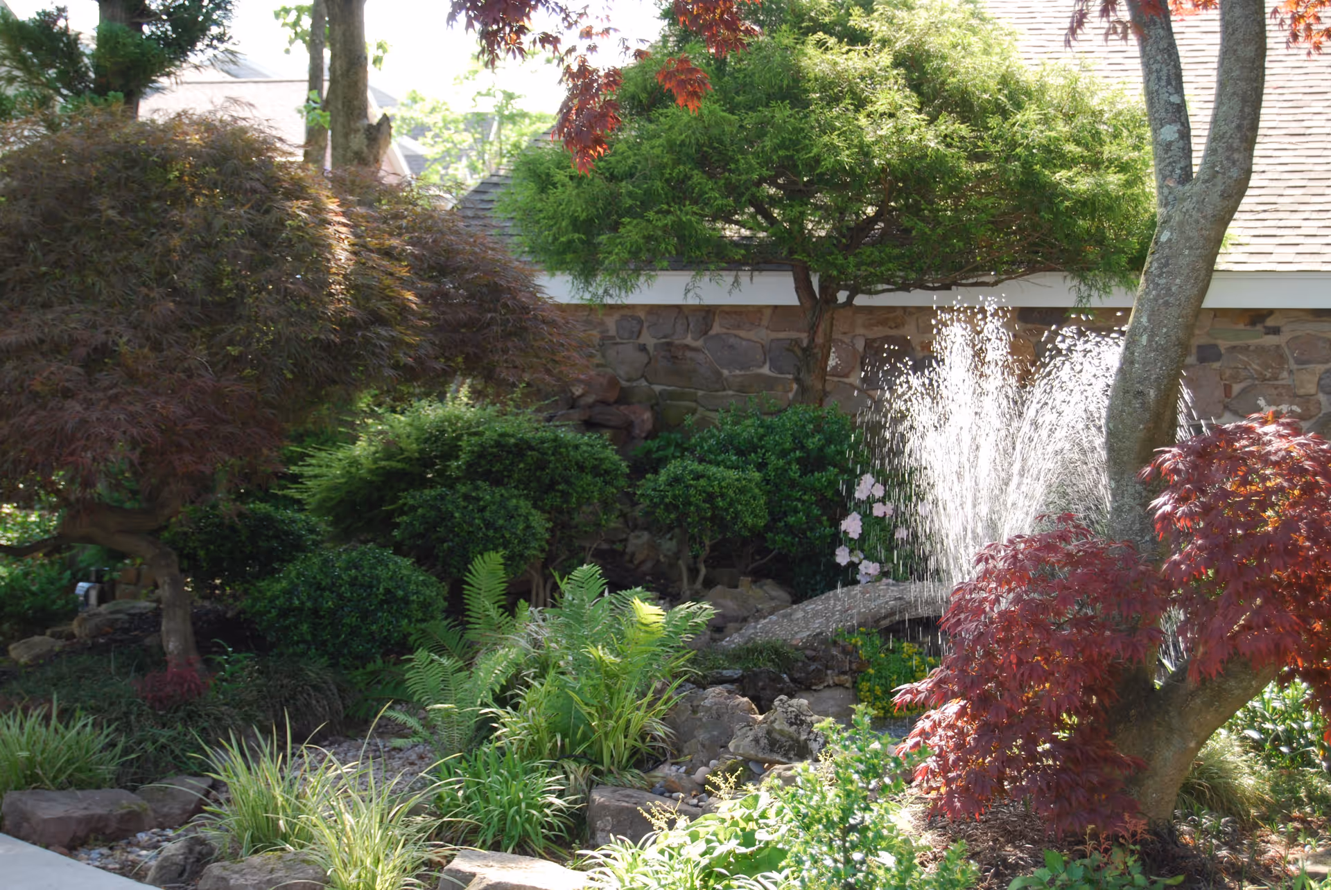 A lush garden area with various green and red-leaved plants, a small stone bridge, and a water fountain spraying water upwards. In the background, there is a stone wall and part of a building roof visible.