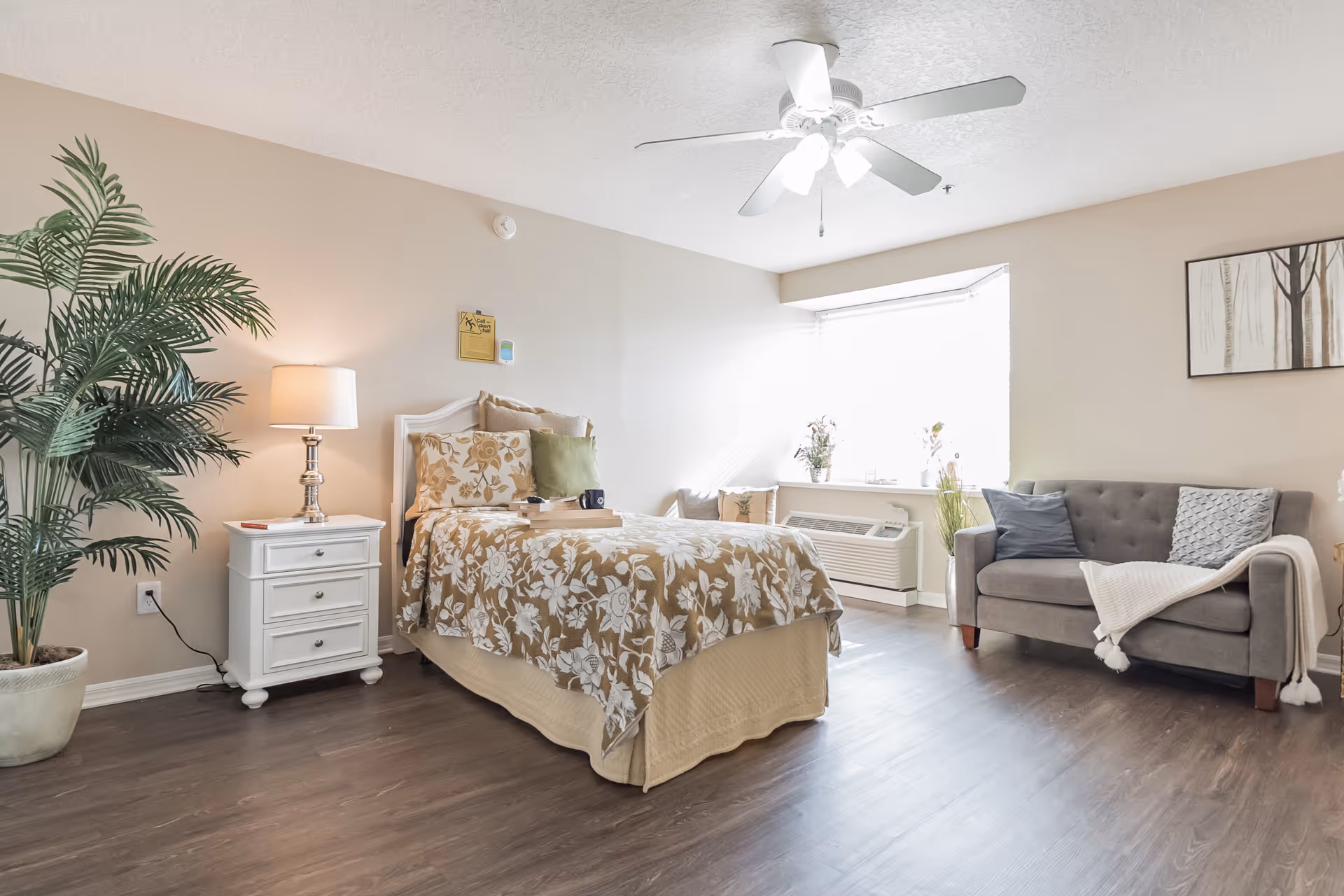 A bright and cozy bedroom with a single bed covered in a floral patterned bedspread, a white nightstand with a lamp, a large potted plant, a gray sofa with pillows and a throw blanket, a ceiling fan with lights, and a large window letting in natural light.