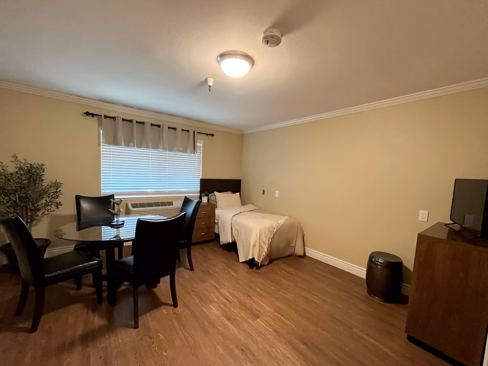 A simple, clean bedroom with a single bed covered with a beige blanket, a wooden nightstand with a small plant, a round glass dining table with four black chairs, a window with blinds and a beige valance, a wooden dresser with a TV on top, a small trash can, and a potted plant in the corner. The room has wood flooring and beige walls with white crown molding.