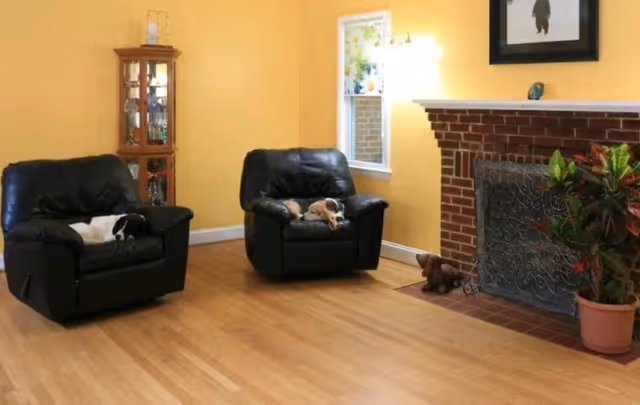 A cozy living room with yellow walls and wooden flooring featuring two black leather armchairs, each with a dog resting on it. There is a brick fireplace with a decorative metal screen, a potted plant to the right, and a small stuffed dog toy on the floor near the fireplace. A wooden display cabinet with glass doors stands in the corner, and a window lets in natural light.