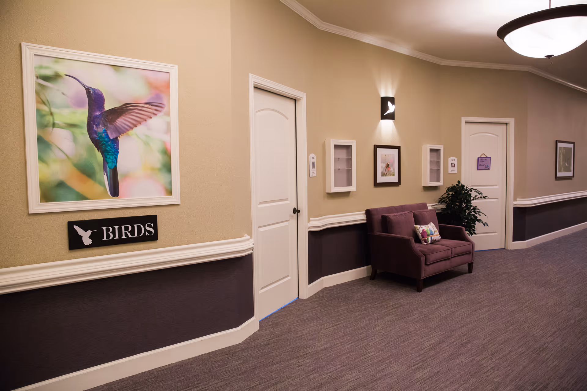 A hallway in a senior living facility with beige and dark purple walls, two white doors, a purple loveseat with a decorative pillow, framed bird pictures on the walls, a small plant, and a ceiling light fixture.