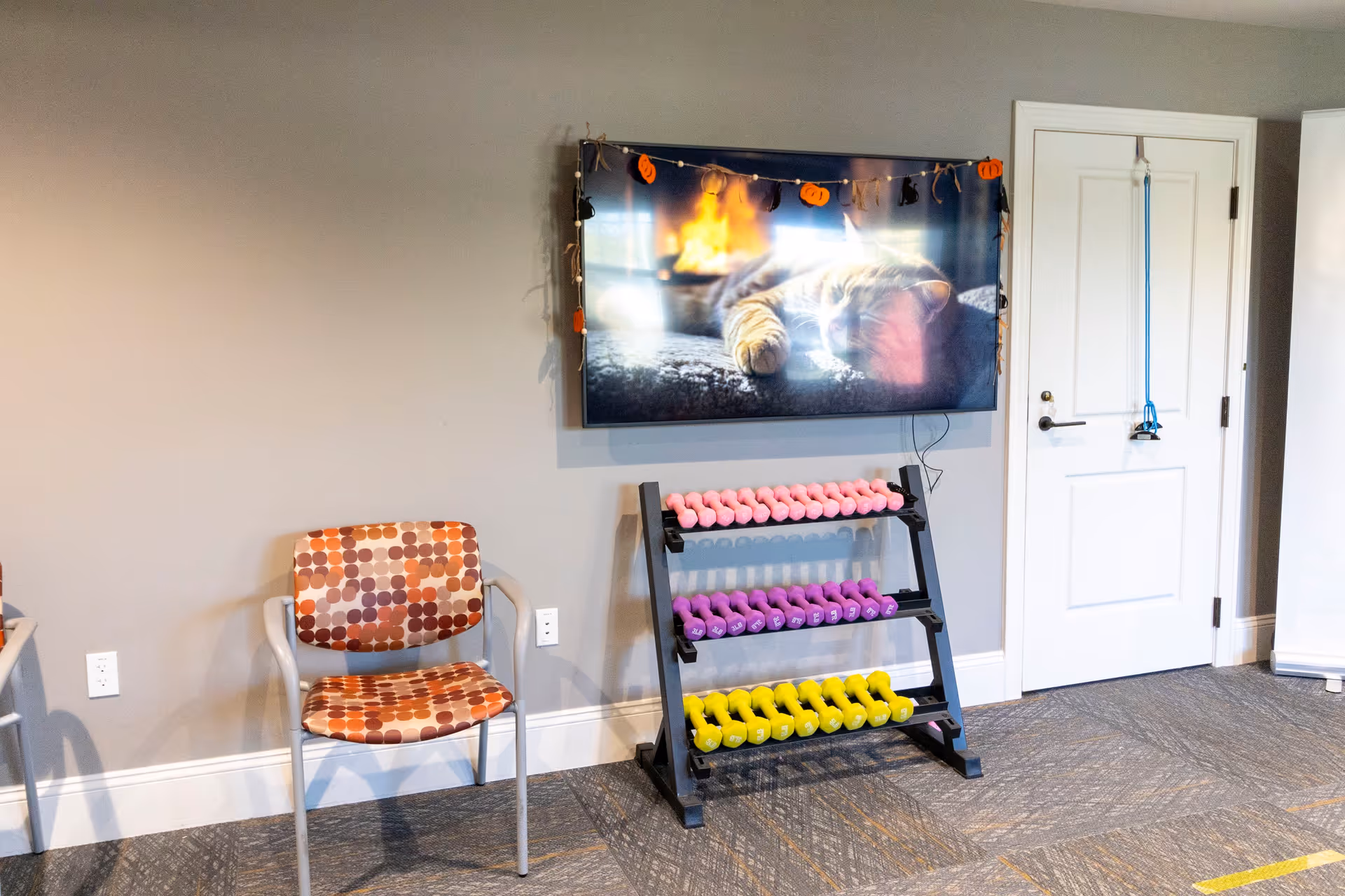Interior room with a patterned chair, a rack holding pink, purple, and yellow dumbbells, a door with a blue resistance band hanging on the handle, and a wall-mounted TV displaying an image of a cat sleeping by a fireplace.