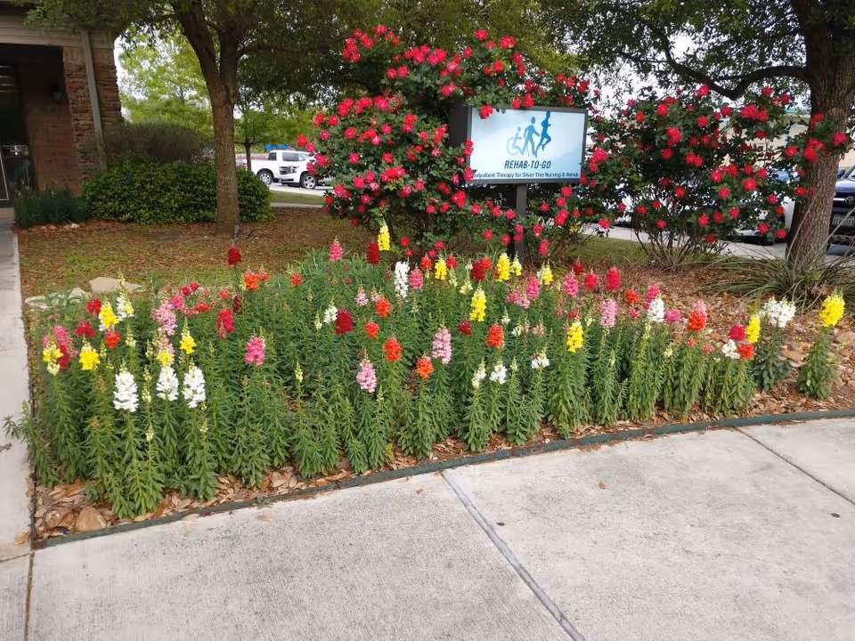 A colorful flower bed with various blooming flowers in shades of red, yellow, pink, and white, situated next to a sidewalk. Behind the flower bed are bushes with bright red flowers and a sign that reads 'REHAB-TO-GO Outpatient Therapy for Silver Tree Nursing & Rehab.' Trees and parked cars are visible in the background.