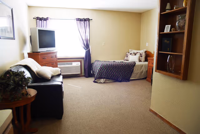 A cozy room with a single bed covered with a patterned blanket and pillows, a wooden dresser with a TV on top, a black leather couch with a white blanket, a small round wooden table with a plant, and a window with purple curtains letting in natural light.
