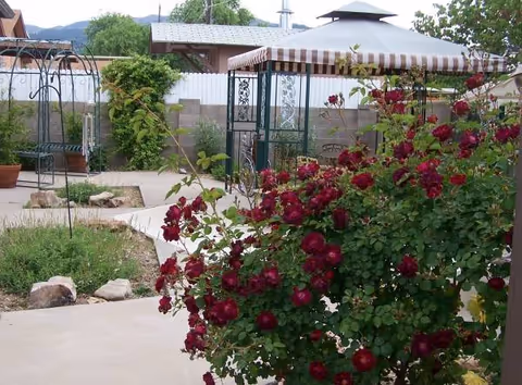 Outdoor courtyard featuring red roses, a striped gazebo, and winding concrete walkways.