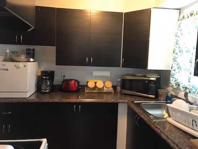 A small kitchen area with dark brown cabinets and a granite countertop. On the counter, there is a coffee maker, a red toaster, a microwave, a dish drying rack with dishes, and a paper towel holder. A window with floral curtains is above the sink.