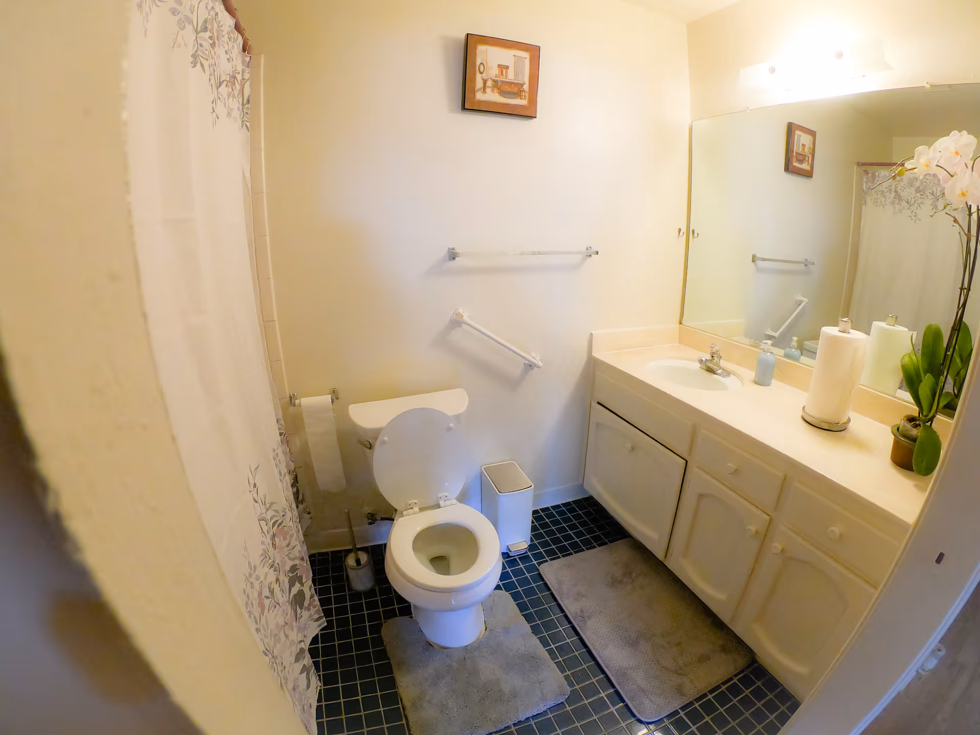 A small bathroom with a toilet, a white vanity with a sink, a large mirror above the sink, and a shower with a floral curtain. There are two gray bath mats on the tiled floor, a small trash can next to the toilet, and a potted orchid plant on the vanity. A framed picture hangs on the wall above the toilet.