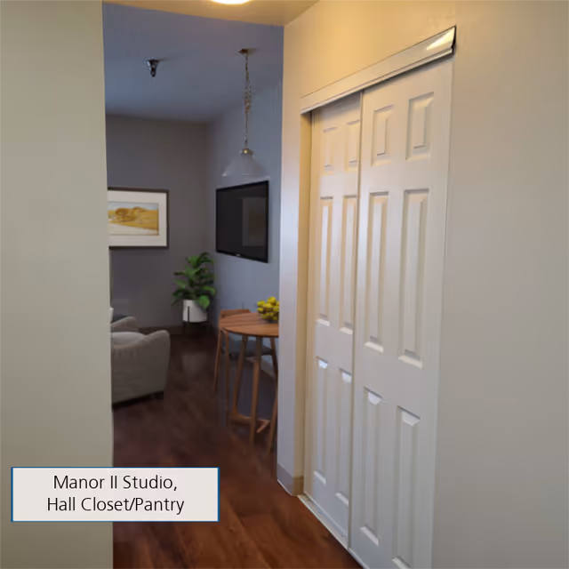 Interior view of a studio apartment hallway with a white sliding door closet on the right. In the background, there is a small dining table with chairs, a wall-mounted TV, a framed picture, a potted plant, and part of a gray armchair visible. The floor is wooden and the walls are painted in light colors.