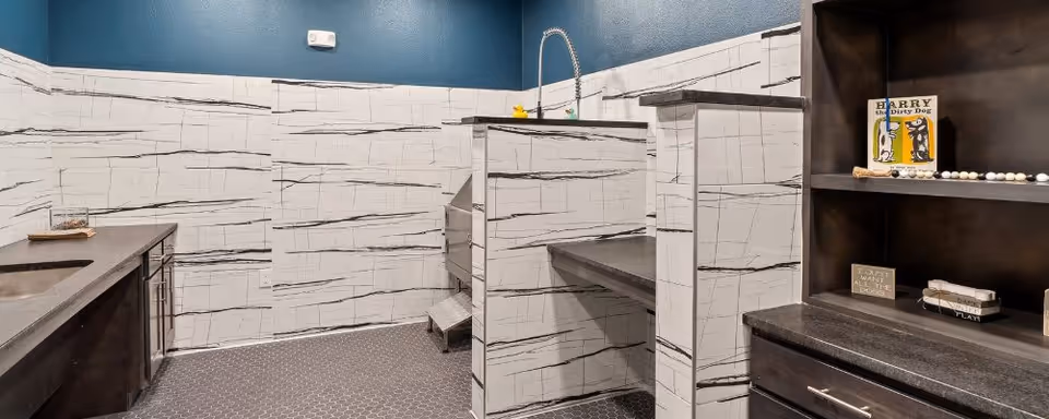 Interior view of a pet washing station with tiled walls and dark countertops. The space includes a raised washing area with a flexible faucet, a small step stool, and shelving with decorative items such as books and small signs.