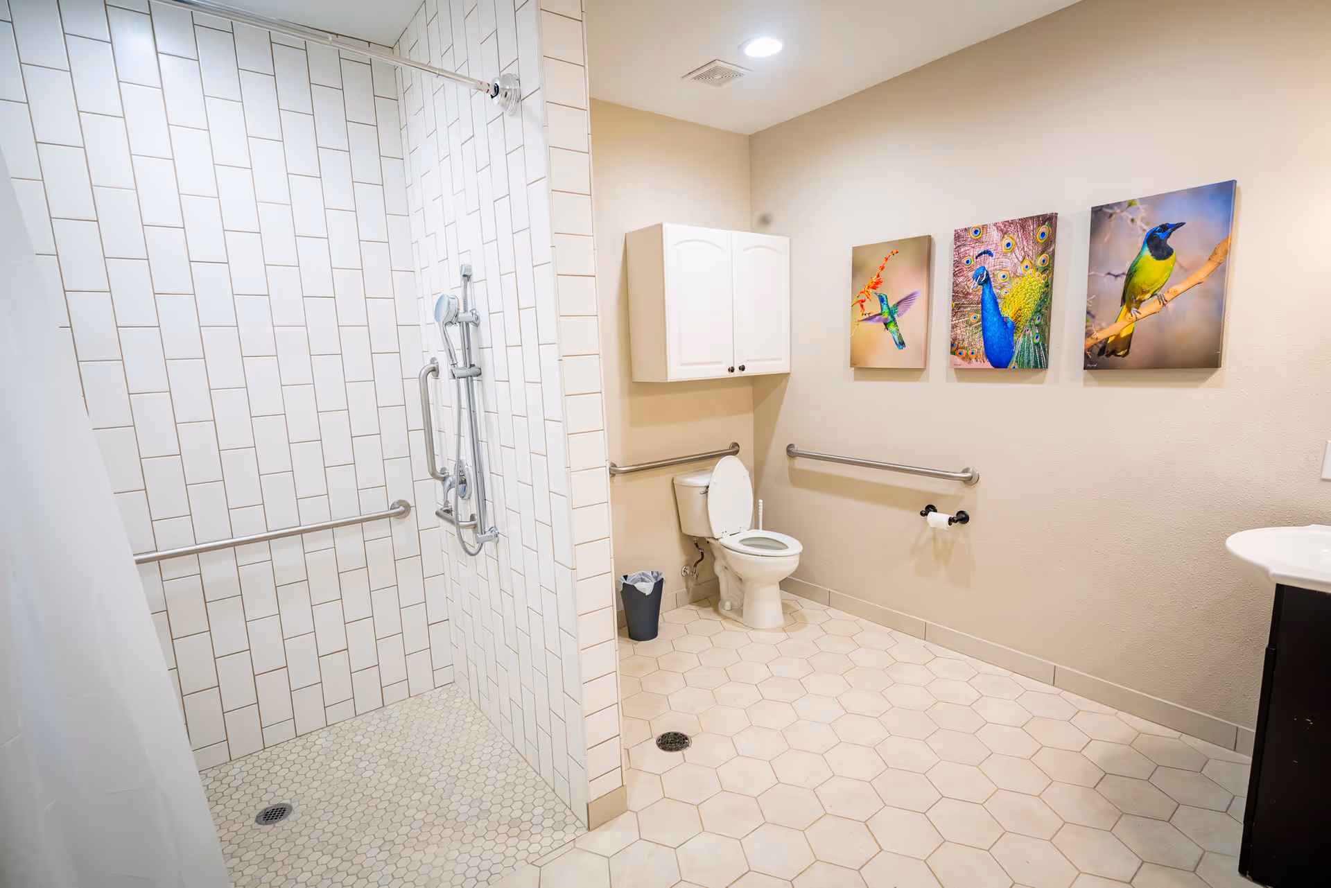 Accessible bathroom with a walk-in tiled shower, toilet with grab bars, wall cabinet, and colorful bird artwork on the wall.