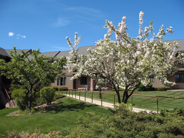 Outdoor view of a senior living facility with a blooming tree with white flowers, green grass, bushes, and a paved walkway with handrails leading to the building under a clear blue sky.