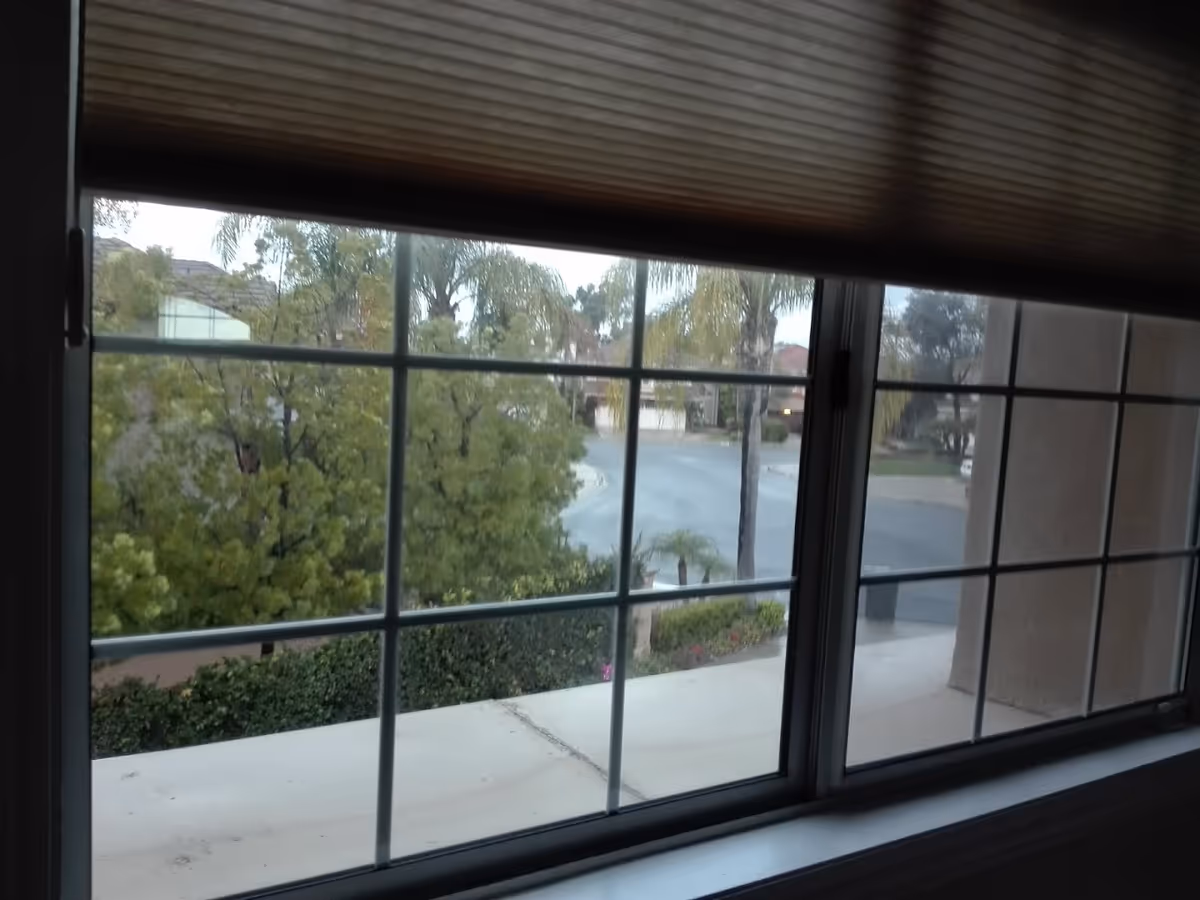 View through a window with partially lowered blinds showing a street with trees, bushes, and palm trees outside.