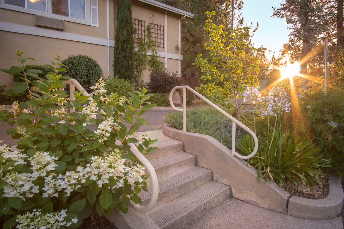 Outdoor garden area at Brunswick Village Assisted Living featuring concrete steps with handrails, surrounded by lush green plants and white flowers, with the sun setting in the background casting a warm glow.