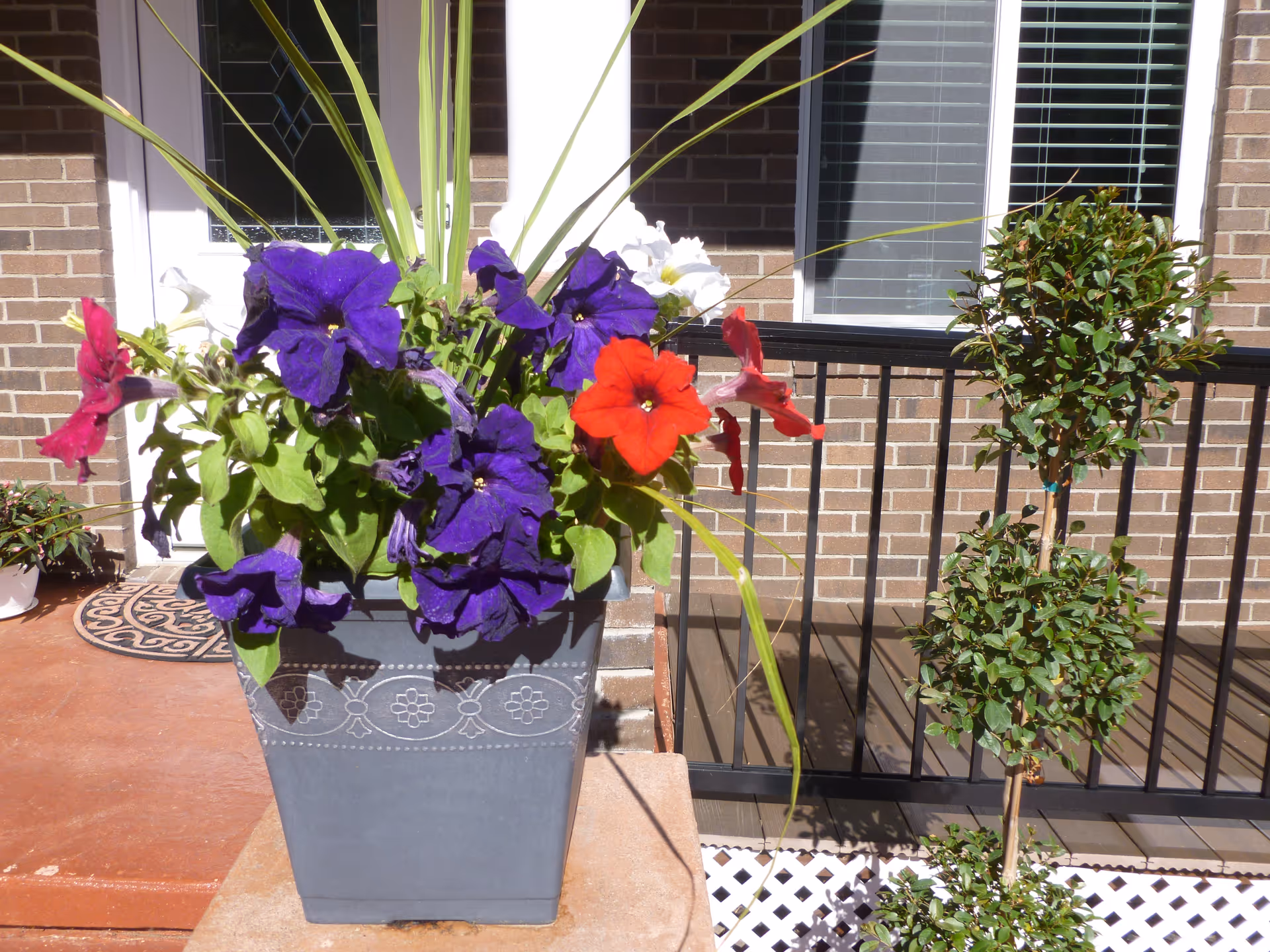 A gray planter filled with vibrant purple, red, and white flowers placed on a stone ledge in front of a brick building with a black metal railing and a window with blinds.