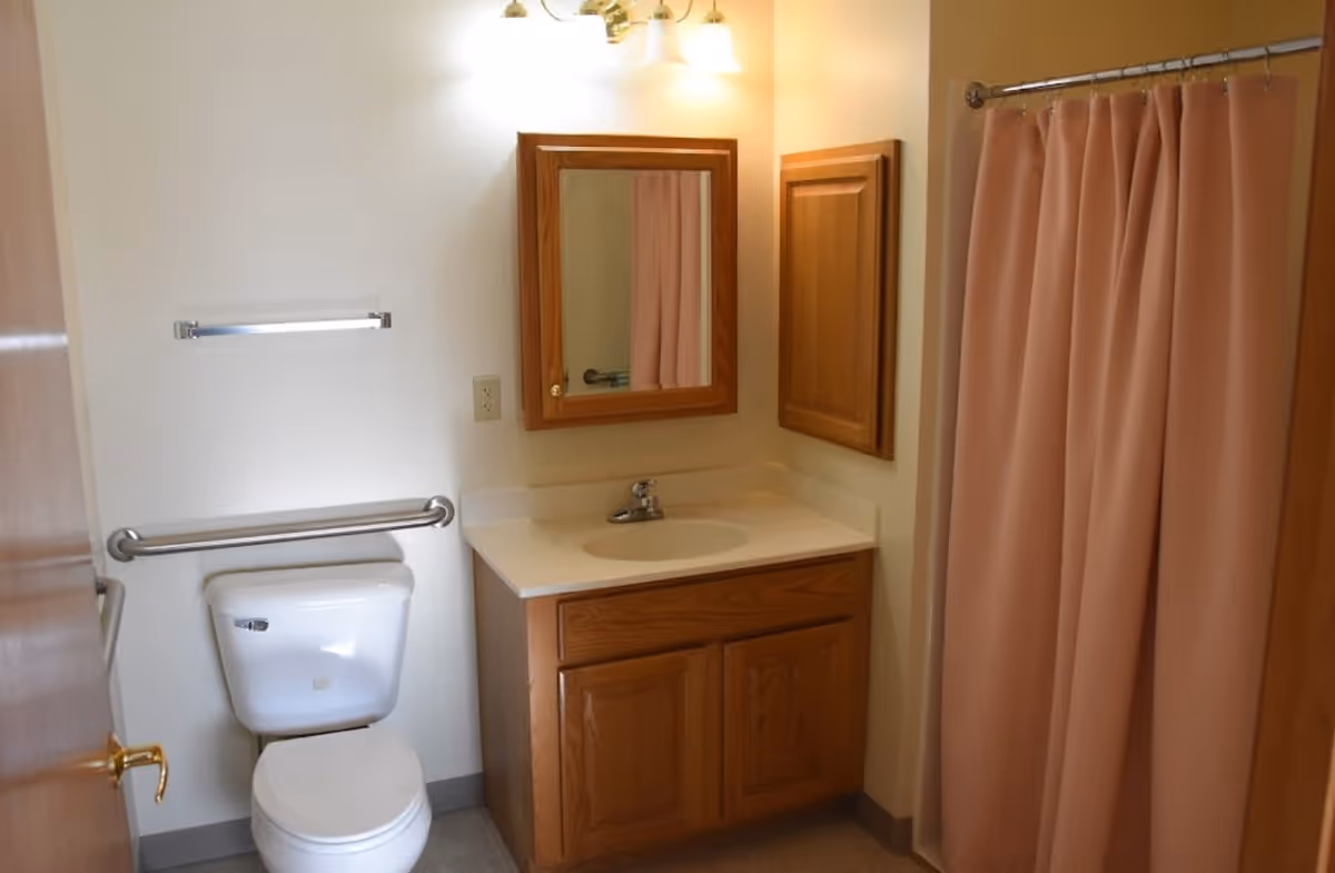 A bathroom with a white toilet, a wooden vanity with a sink, a mirror above the sink, a wooden cabinet on the wall, and a shower with a pink curtain.