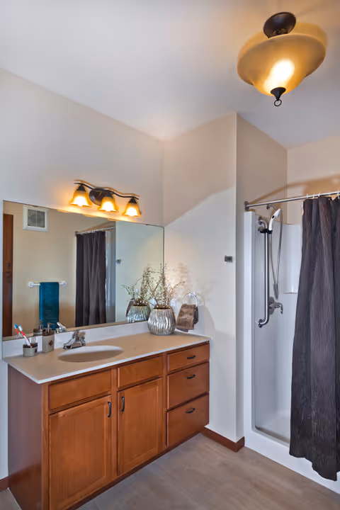 Bathroom with a wooden vanity featuring a sink and countertop, a large mirror above it, a light fixture with three bulbs, a shower with a curved curtain rod and dark shower curtain, and decorative vases with dried plants on the countertop.