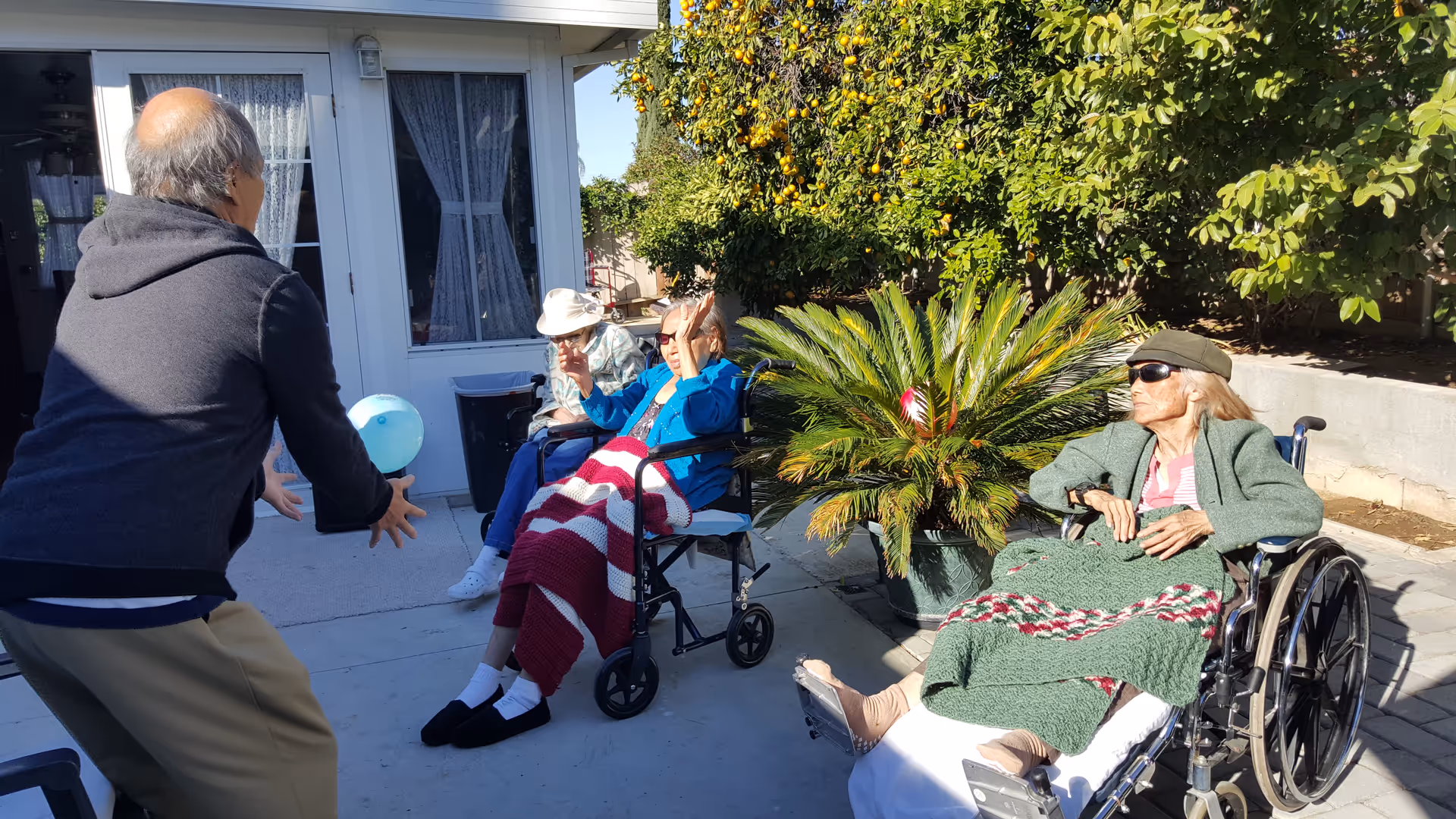 An outdoor patio area at Terrace Gardens where three elderly individuals in wheelchairs are enjoying the sunshine. One person is playing with a blue balloon with a standing man. The area is surrounded by green plants and trees with yellow fruit.