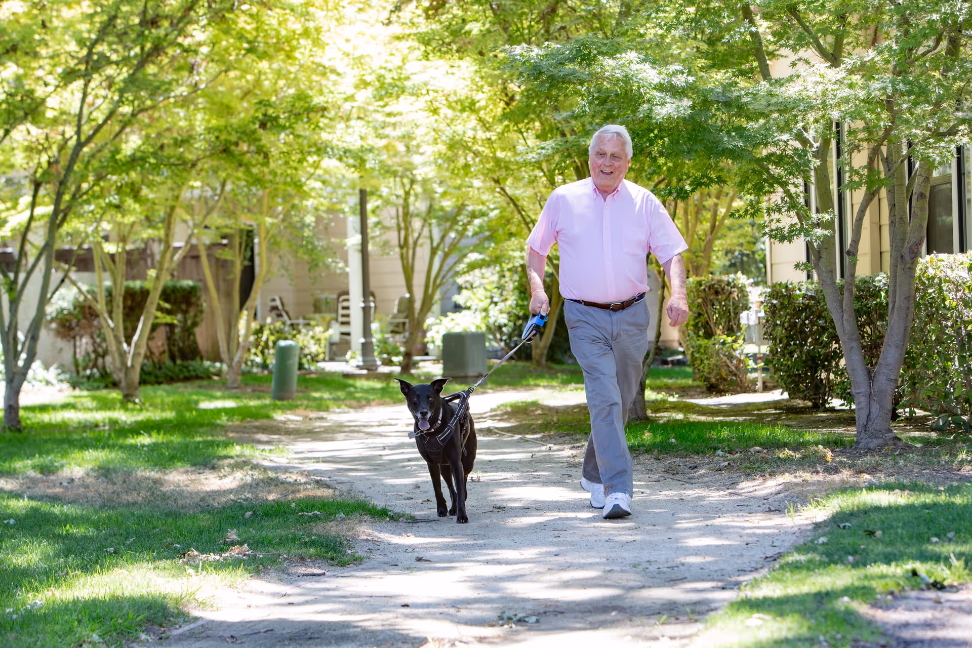 An elderly man wearing a pink shirt and gray pants walking a black dog on a leash along a shaded dirt path surrounded by green grass and trees in an outdoor garden area.