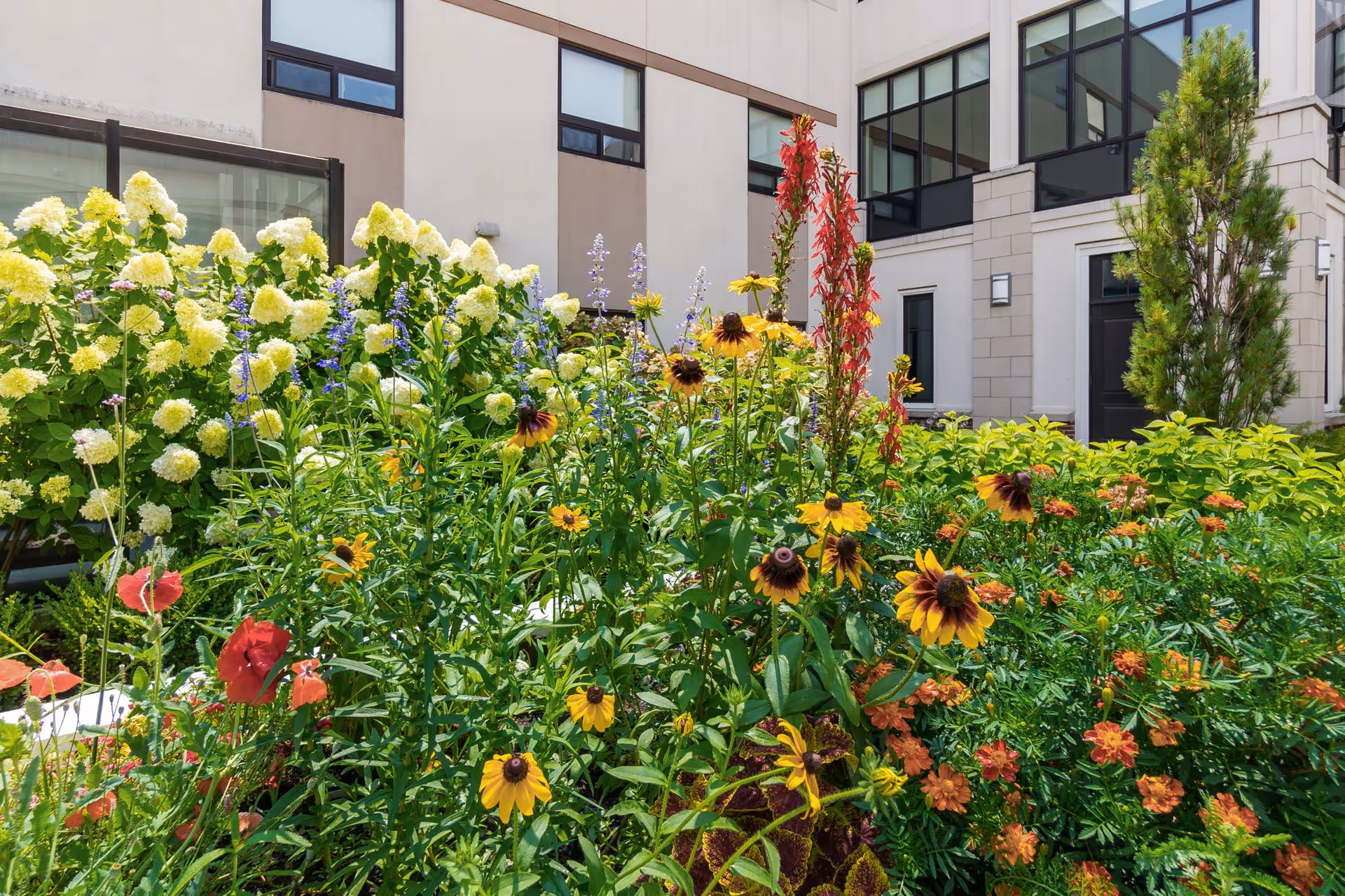 A vibrant garden with various colorful flowers including yellow, red, and purple blooms in front of a modern building with large windows and beige walls.