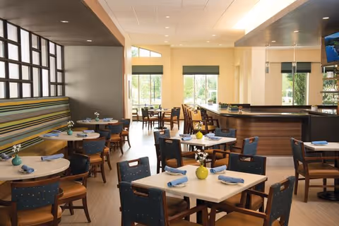A bright and spacious dining room in a senior living community with multiple tables and chairs arranged neatly. Each table has a small vase with flowers and blue napkins. Large windows allow natural light to fill the room, and there is a counter area in the background.