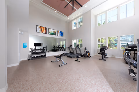 Bright, high-ceilinged fitness room with treadmills, exercise bikes, a weight bench, dumbbells, large windows and a wall mirror.