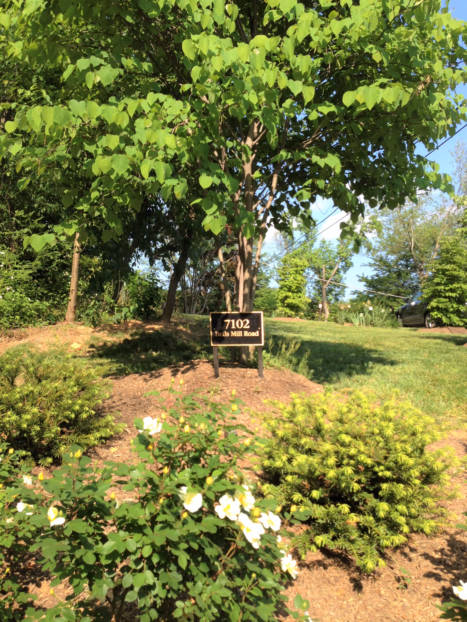 A landscaped outdoor area with green trees, bushes, and flowering plants. A small black sign with gold text reads '7102 Bells Mill Road'. A car is partially visible in the background on the right side.