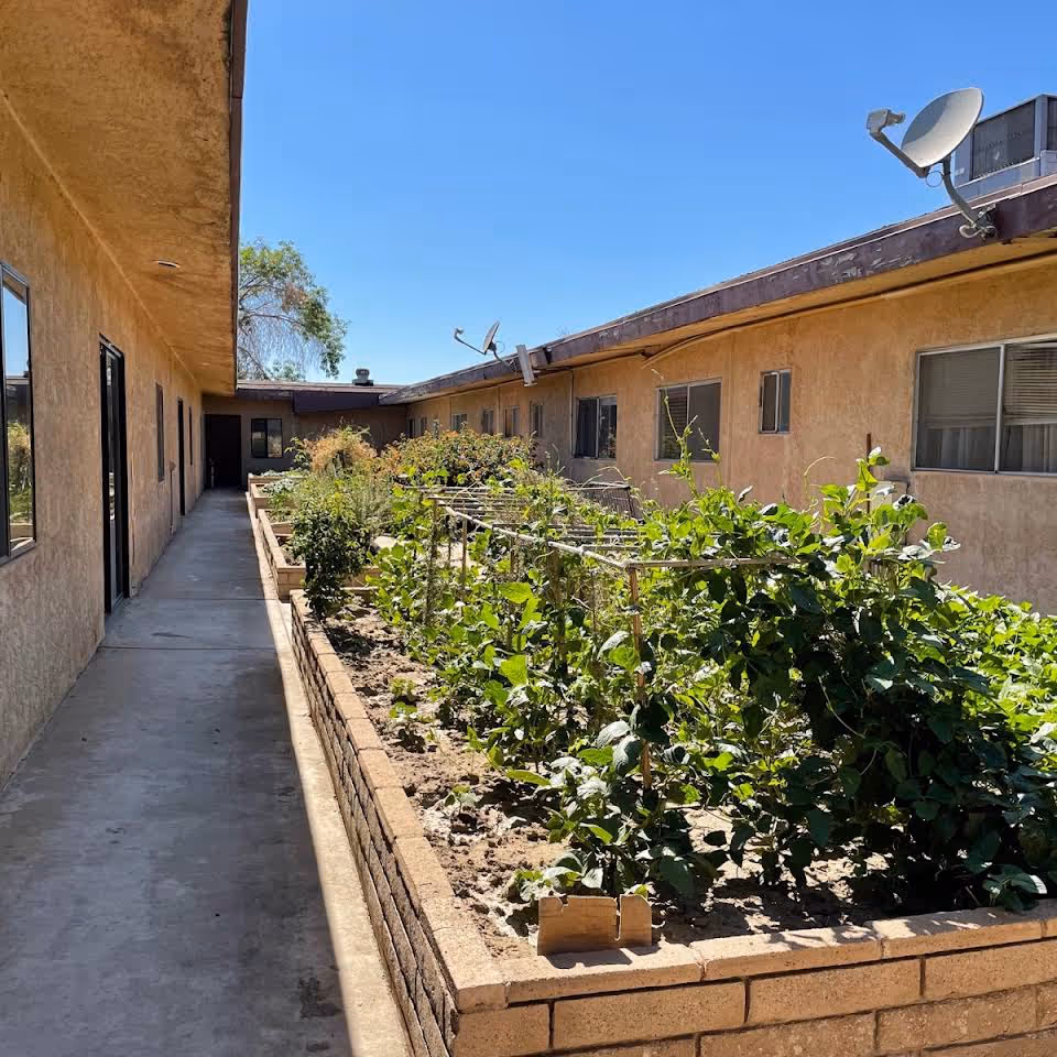Outdoor garden area with raised brick planter beds filled with various green plants and vines, situated between two beige stucco building walls under a clear blue sky.