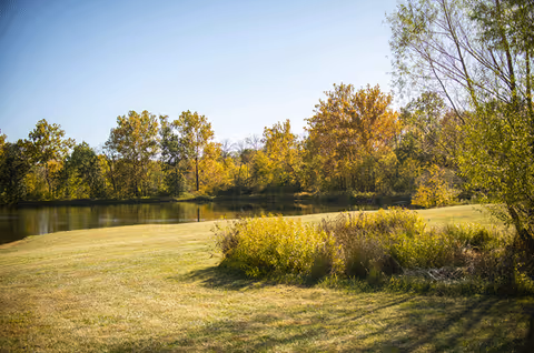 A peaceful outdoor scene featuring a grassy area with bushes and trees displaying autumn foliage next to a calm pond under a clear blue sky.
