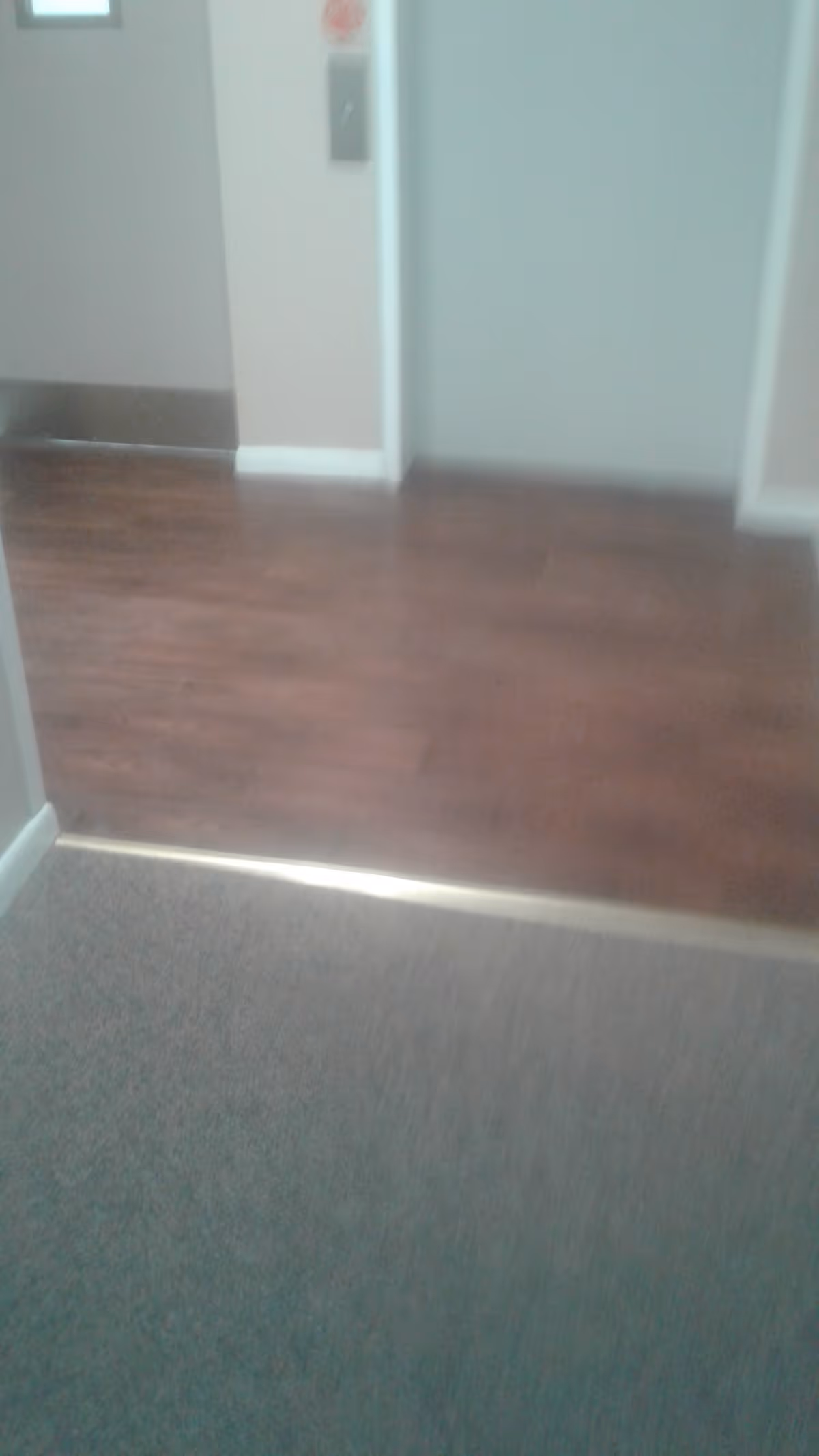 Interior hallway showing a carpet-to-wood floor transition with an elevator door and call button on the far wall.