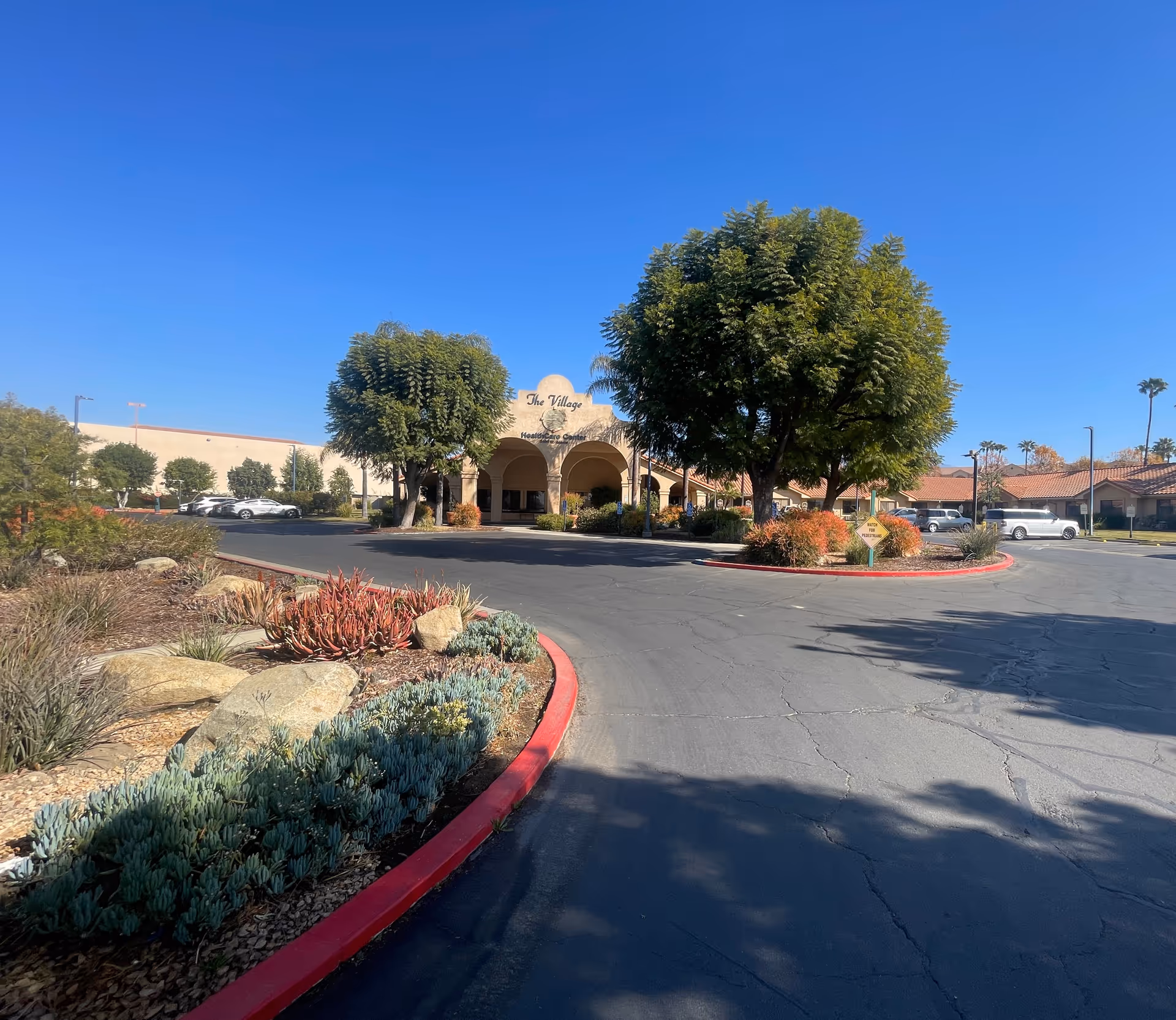 Exterior view of The Village HealthCare Center building with a driveway, landscaped garden beds with succulents and rocks, and several large trees under a clear blue sky.