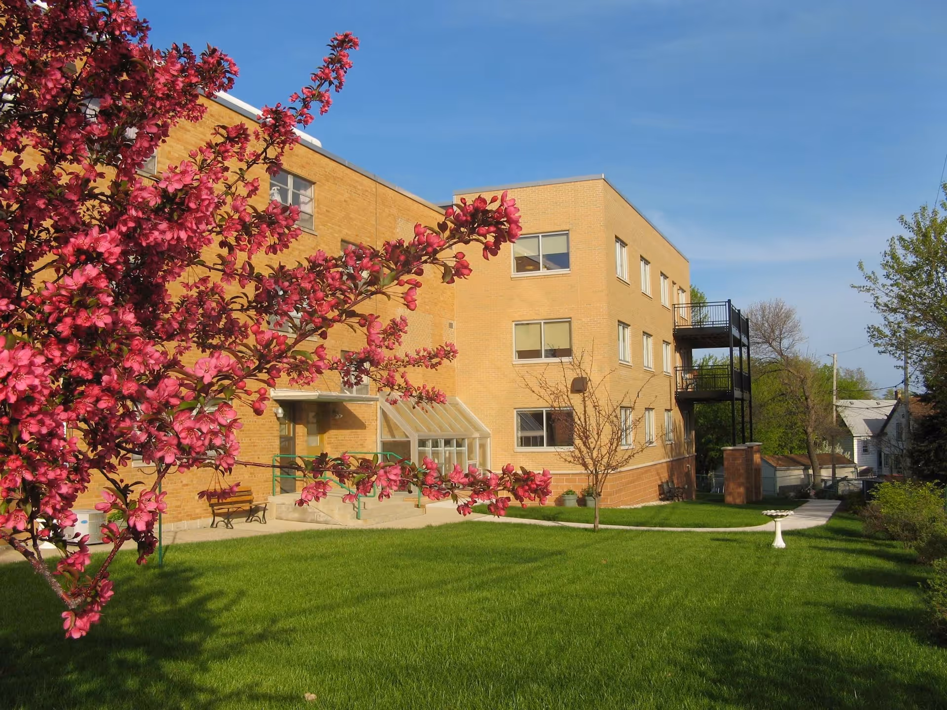 Brick three-story healthcare building with a green lawn and a pink flowering tree in front under a clear blue sky.