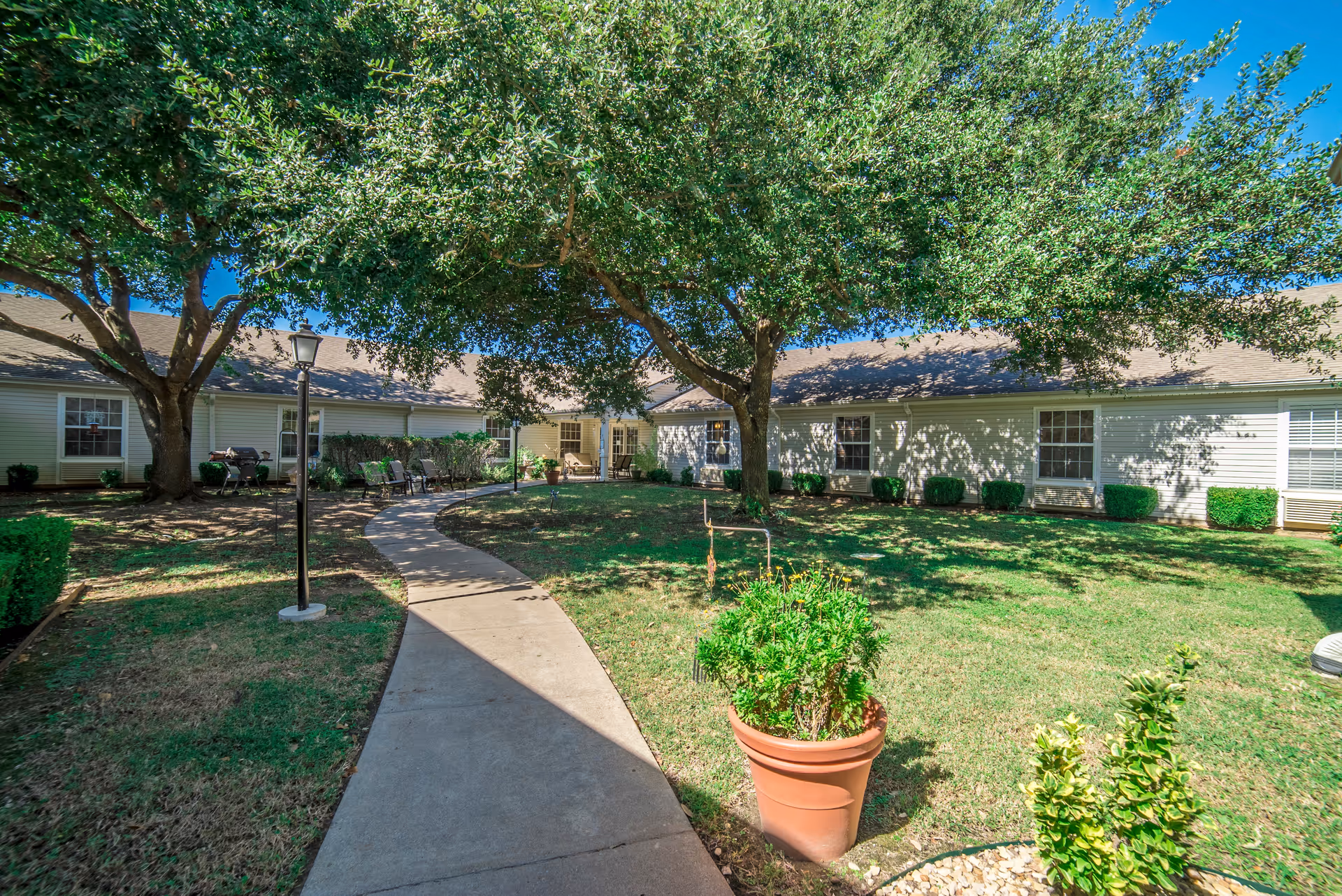 Sunny courtyard with a curved concrete path, large shade trees, potted plants and a single-story building surrounding the lawn.