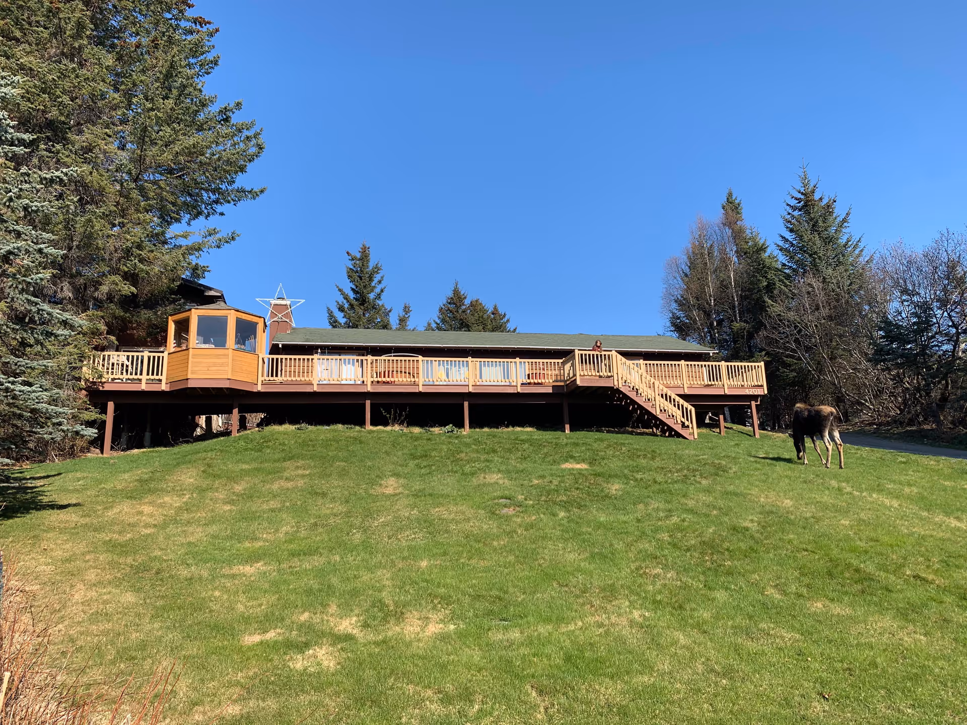A single-story building with a wooden deck and stairs, surrounded by green grass and trees under a clear blue sky. A moose is grazing on the grass near the right side of the image.