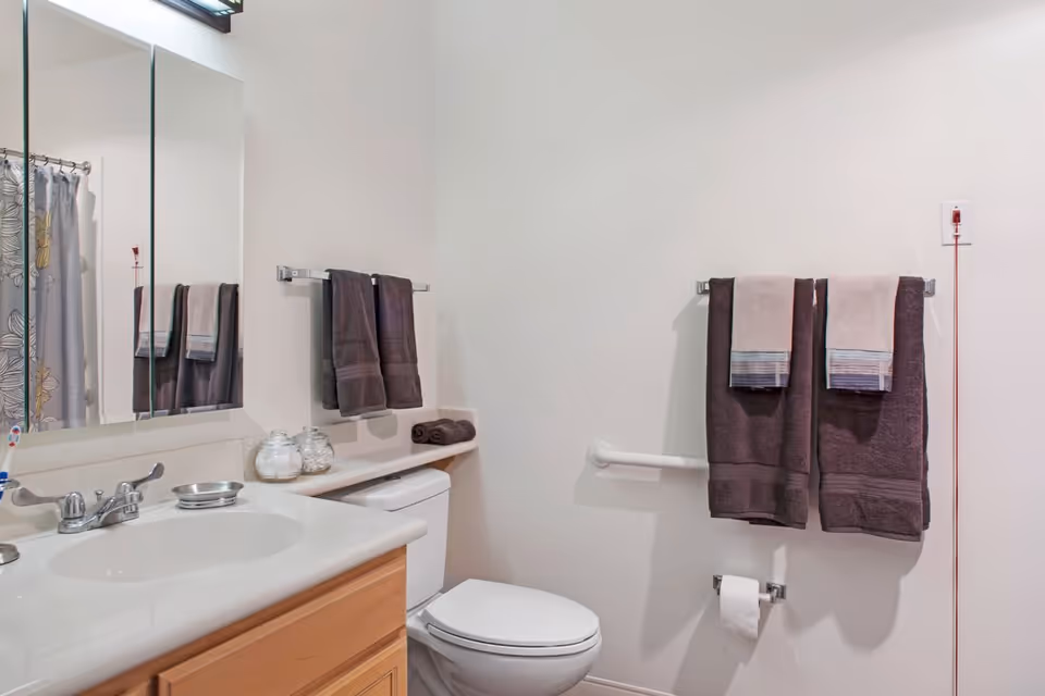 A clean bathroom with a white toilet, a wooden vanity with a white sink, a large mirror above the sink, and a shower curtain with a floral pattern. There are two sets of dark brown towels with light-colored accents hanging on towel racks, a toilet paper holder with a roll of toilet paper, and two glass jars on the vanity counter.