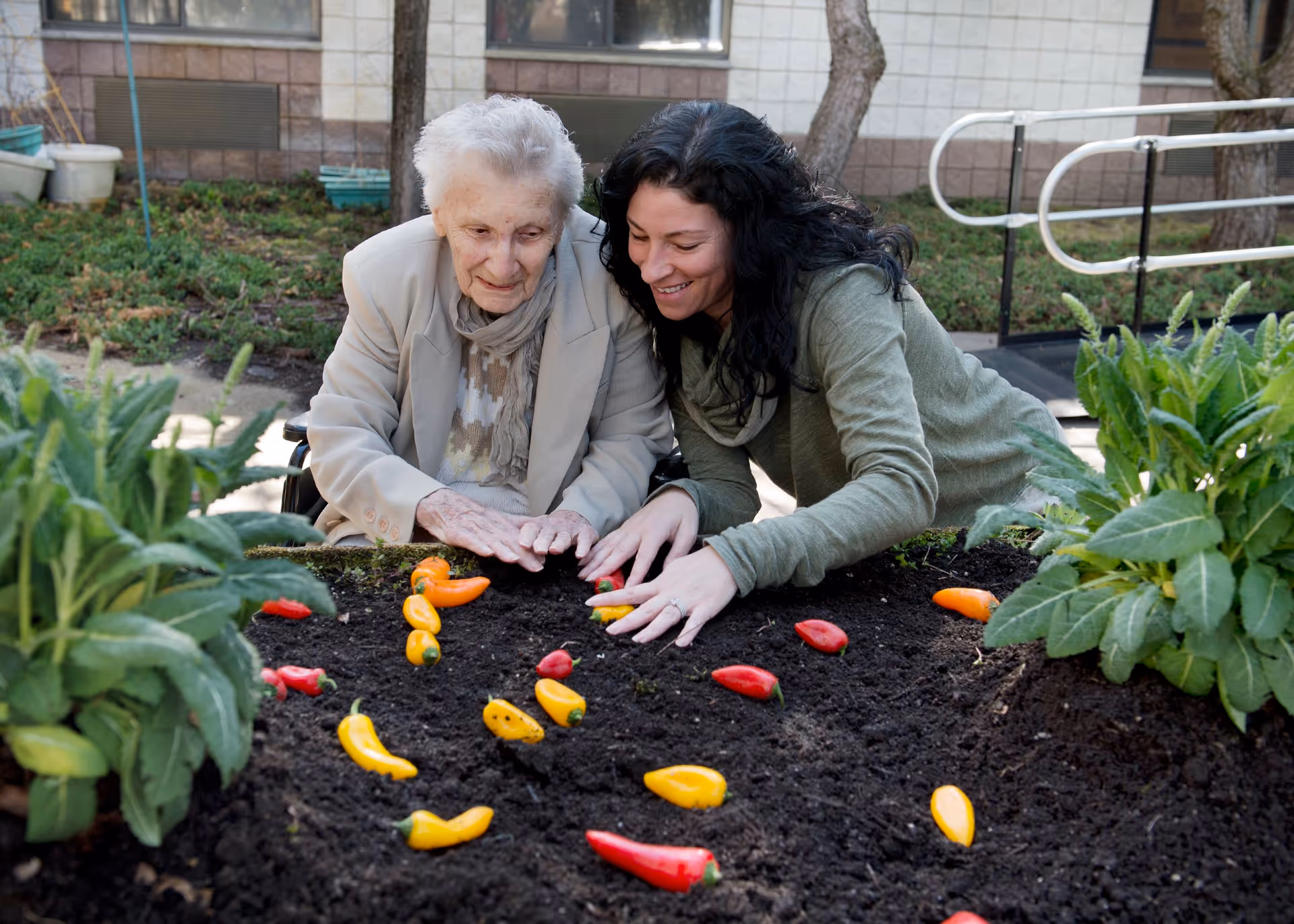 An elderly woman in a wheelchair and a younger woman with dark hair are smiling and tending to a garden bed with small colorful peppers planted in the soil. They are outdoors near a building with windows and some greenery around.