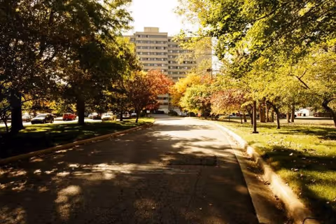 Tree-lined driveway in autumn leading to a multi-story apartment building set back from the road.